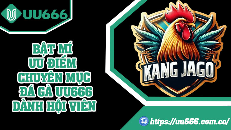 Bật Mí Ưu Điểm Chuyên Mục Đá Gà UU666 Dành Hội Viên