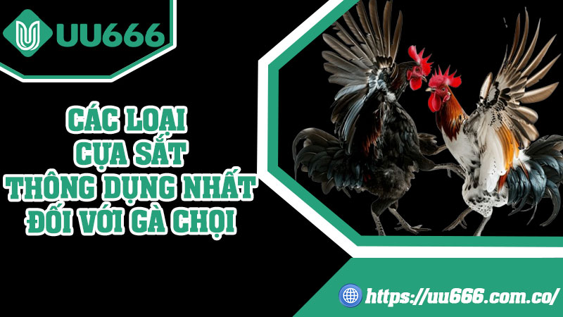 Các Loại Cựa Sắt Thông Dụng Nhất Đối Với Gà Chọi