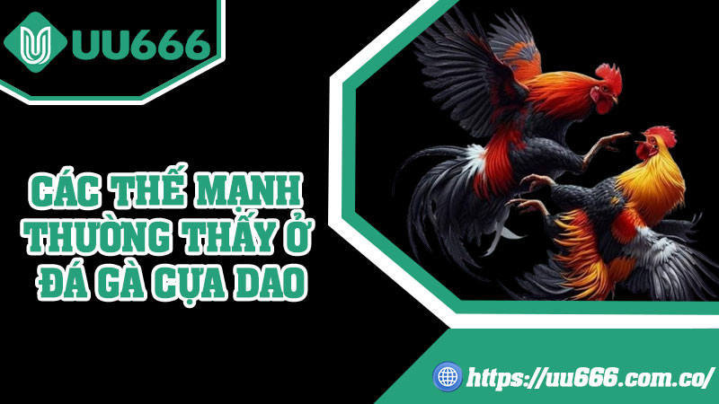 Các Thế Mạnh Thường Thấy Ở Đá Gà Cựa Dao