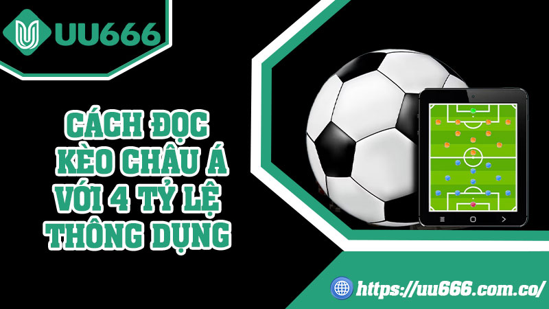 Cách Đọc Kèo Châu Á Với 4 Tỷ Lệ Thông Dụng