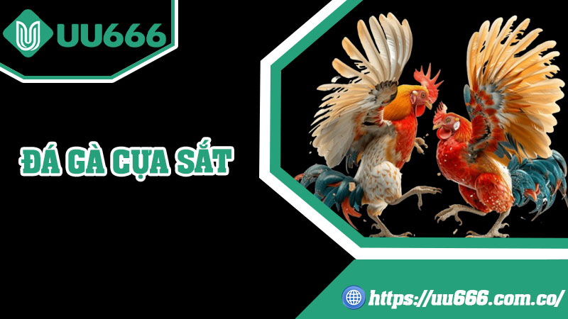 Đá Gà Cựa Sắt