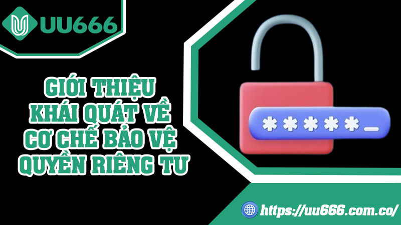 Giới Thiệu Khái Quát Về Cơ Chế Bảo Vệ Quyền Riêng Tư