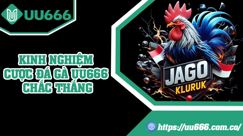 Kinh Nghiệm Cược Đá Gà UU666 Chắc Thắng