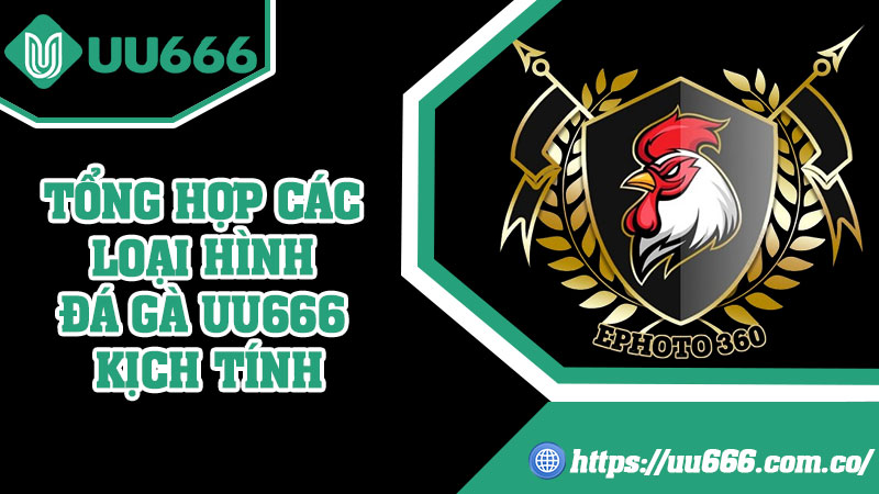 Tổng Hợp Các Loại Hình Đá Gà UU666 Kịch Tính