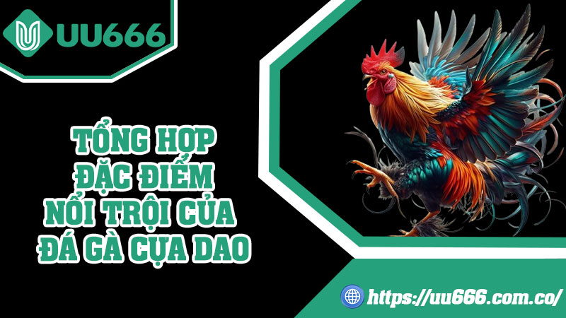 Tổng Hợp Đặc Điểm Nổi Trội Của Đá Gà Cựa Dao